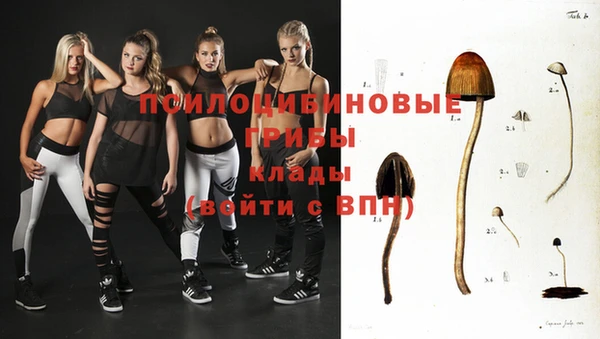 гашик Вяземский