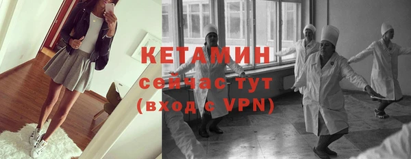 гашик Вяземский