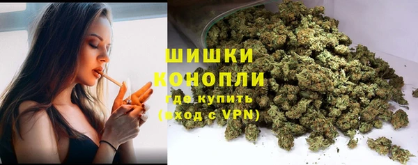 гашик Вяземский