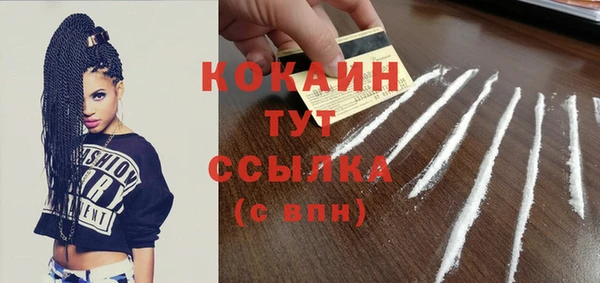 гашик Вяземский