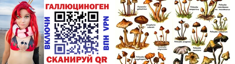 Галлюциногенные грибы мухоморы  Дедовск 